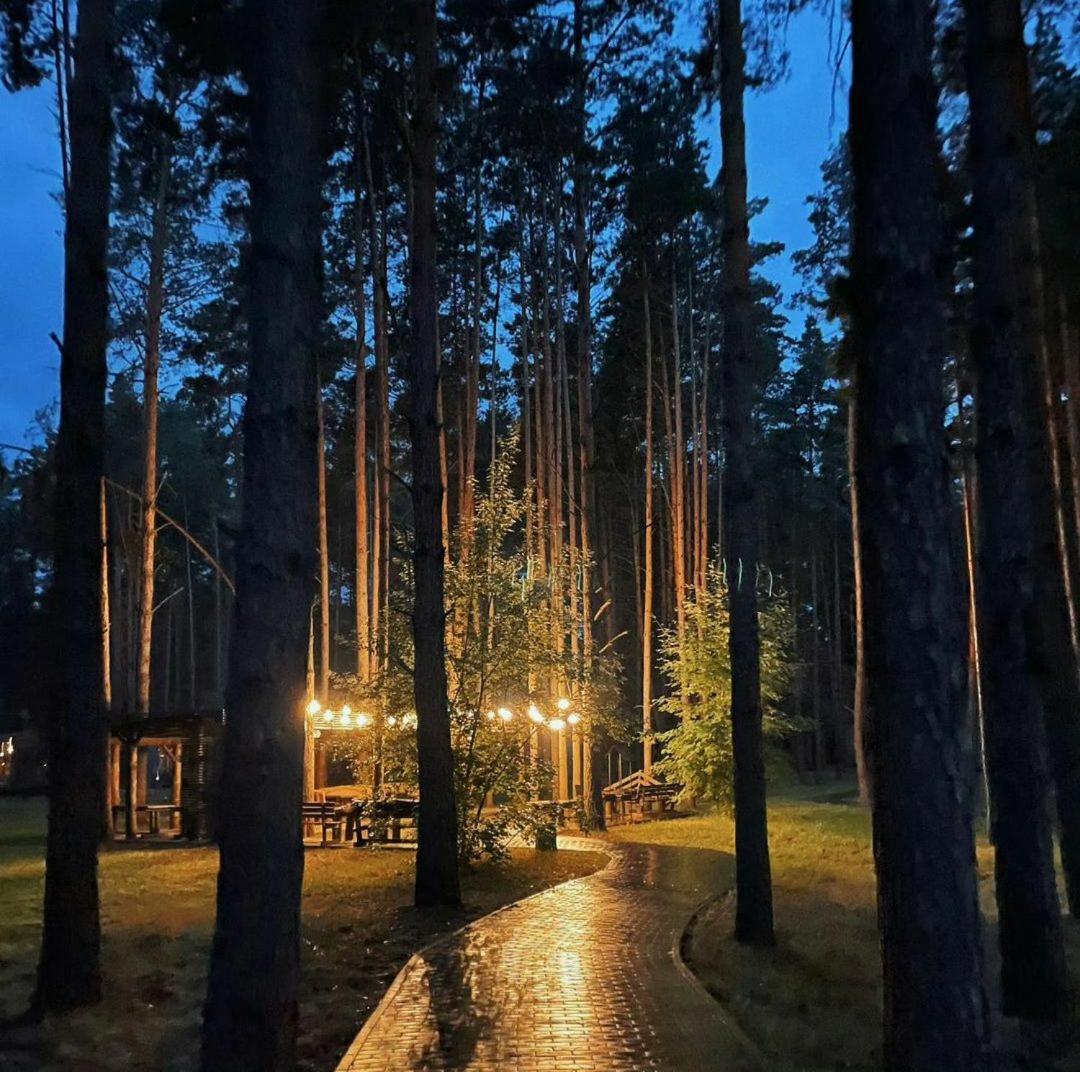Sosnovel Hotel Voropayev Eksteriør billede