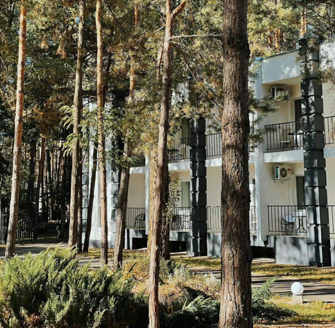 Sosnovel Hotel Voropayev Eksteriør billede